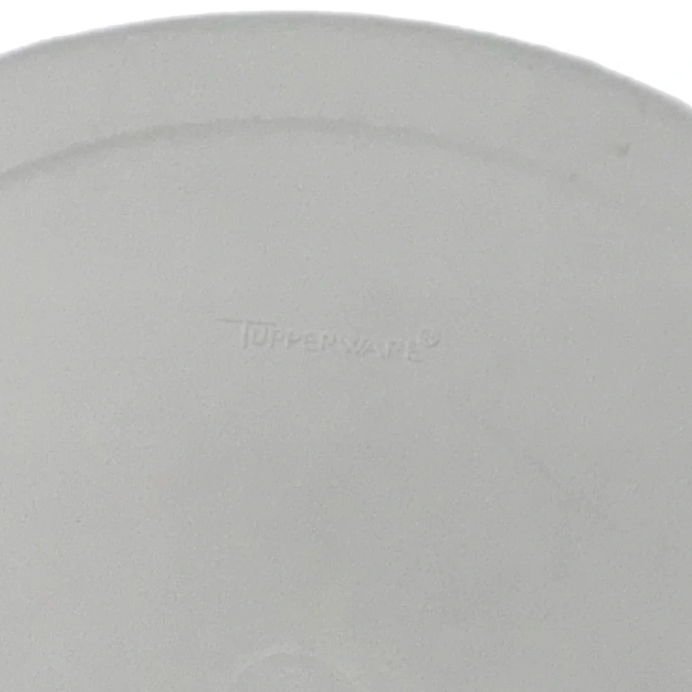 Vintage Tupperware Divided Vegetable Relish Chip & Dip Serving Tray Lid Dip Bowl